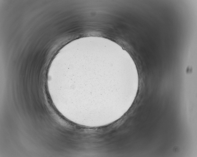 X0000112490049200909281143