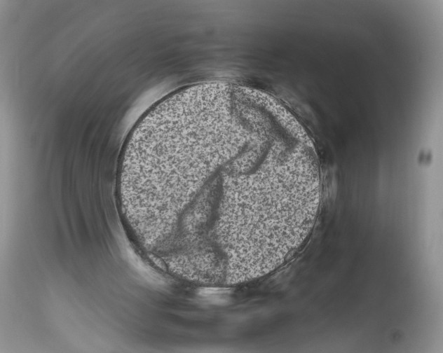 X0000112490051200909281143