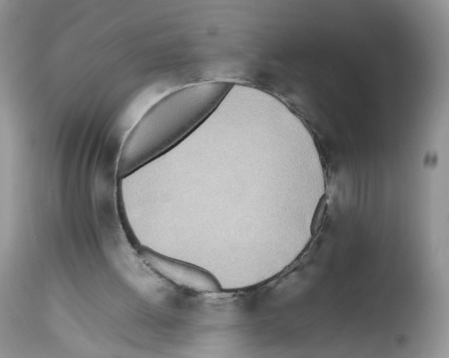 X0000112490052200909281143