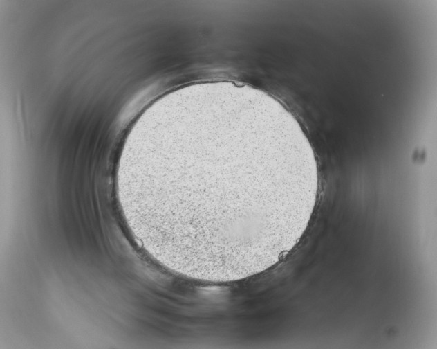 X0000112490053200909281143