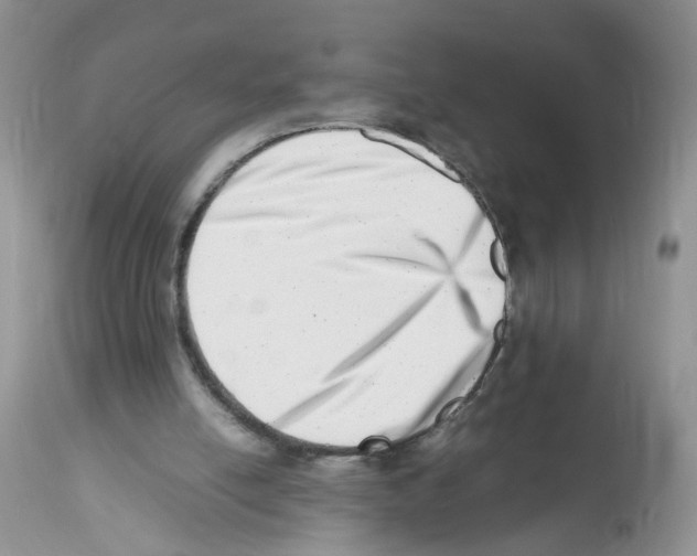 X0000112490054200909281143