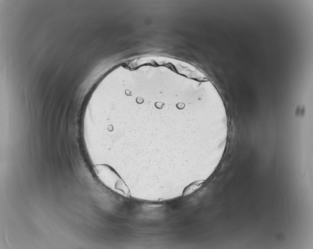 X0000112490055200909281143