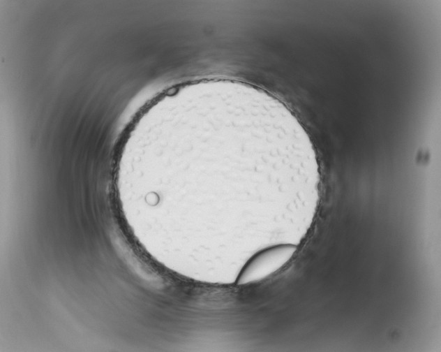 X0000112490056200909281143