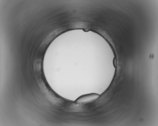 X0000112490057200909281143