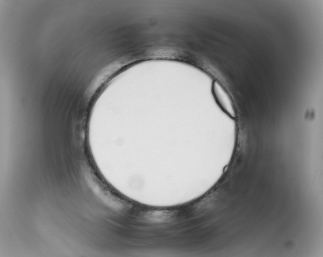 X0000112490059200909281143