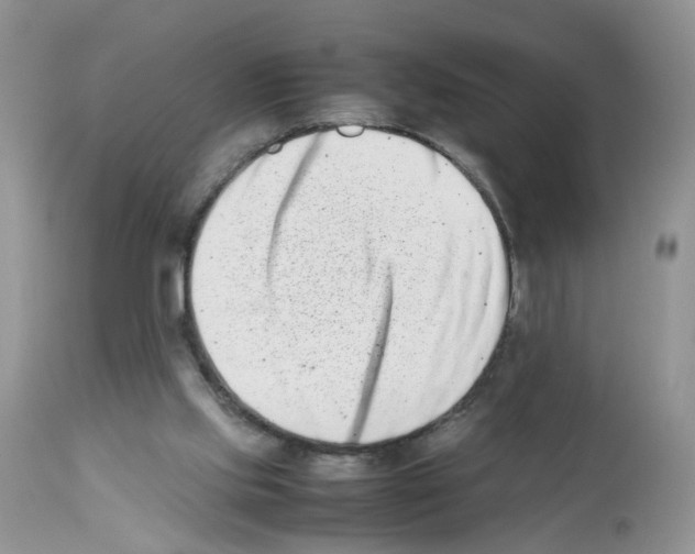 X0000112490061200909281143