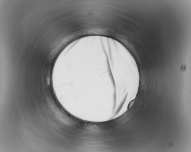 X0000112490062200909281143