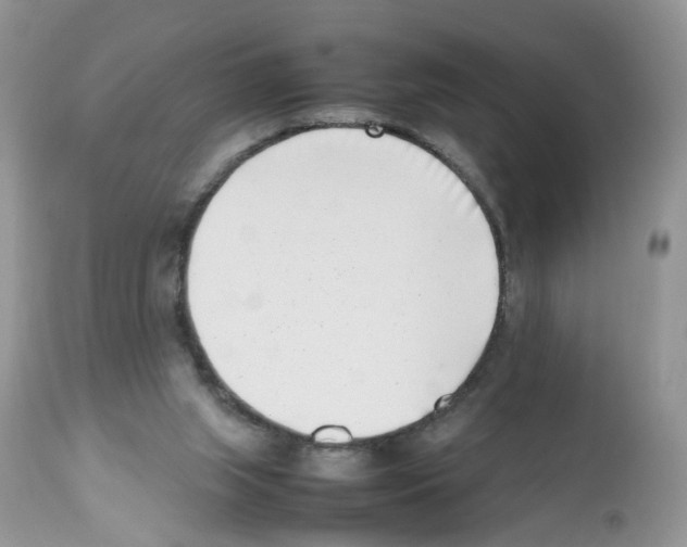 X0000112490063200909281143