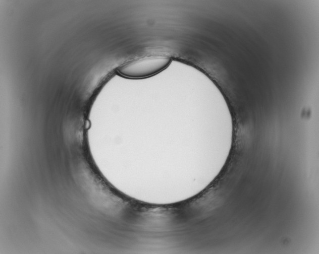 X0000112490064200909281143