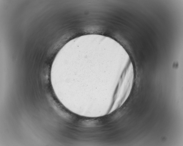 X0000112490065200909281143