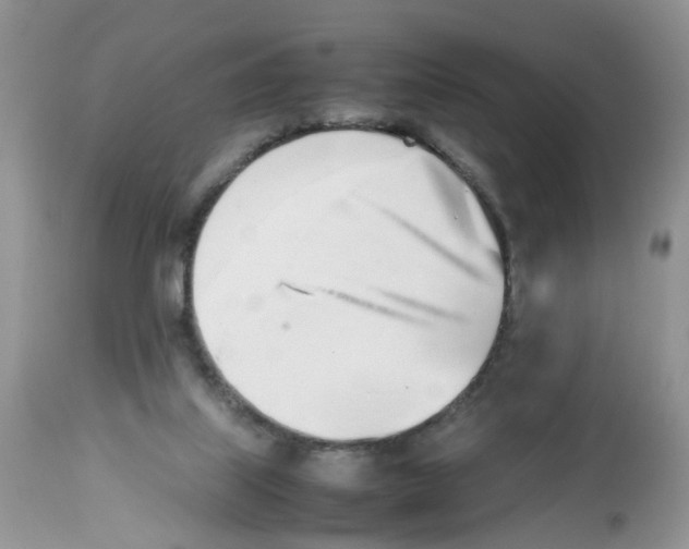 X0000112490067200909281143