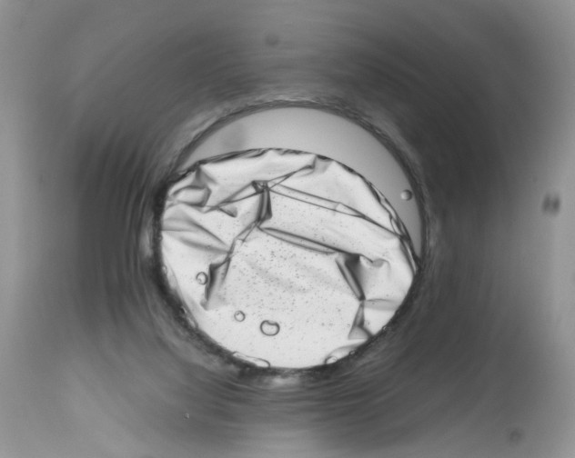 X0000112490068200909281143