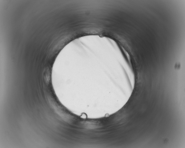 X0000112490069200909281143