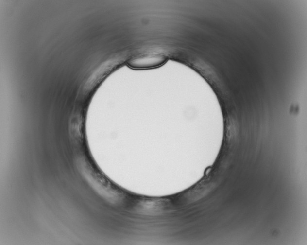 X0000112490072200909281143