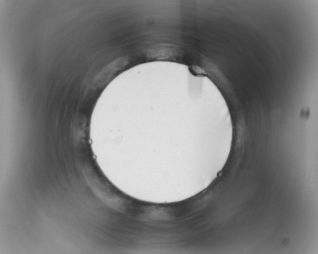 X0000112490073200909281143