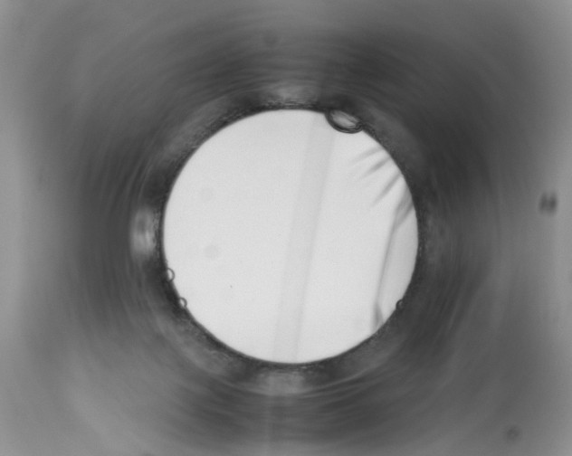X0000112490075200909281143