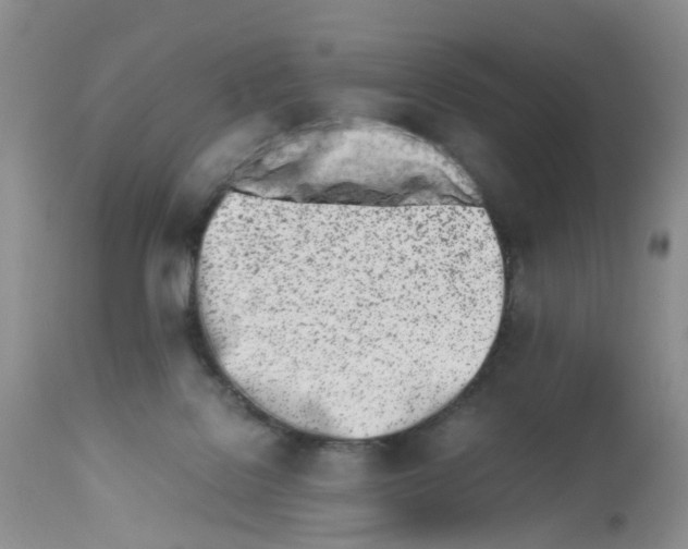 X0000112490076200909281143