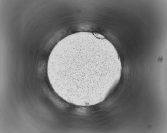 X0000112490079200909281143
