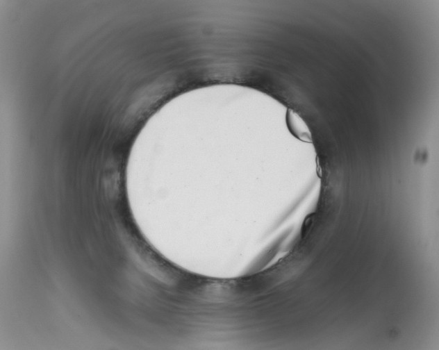 X0000112490080200909281143
