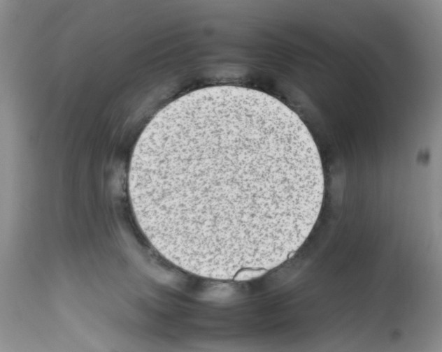 X0000112490083200909281144