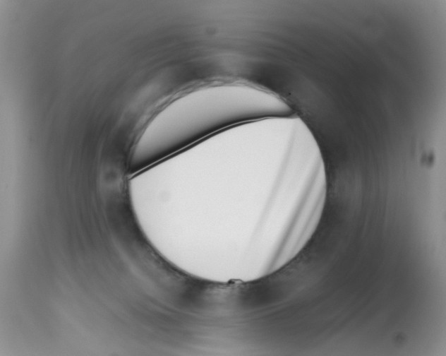 X0000112490084200909281144