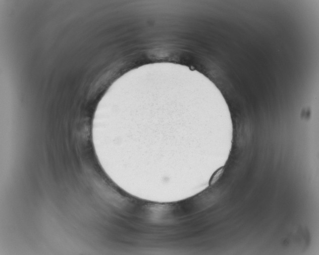 X0000112490085200909281144