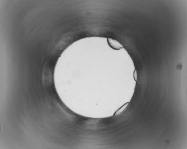 X0000112490086200909281144