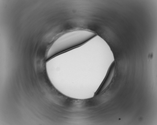 X0000112490088200909281144