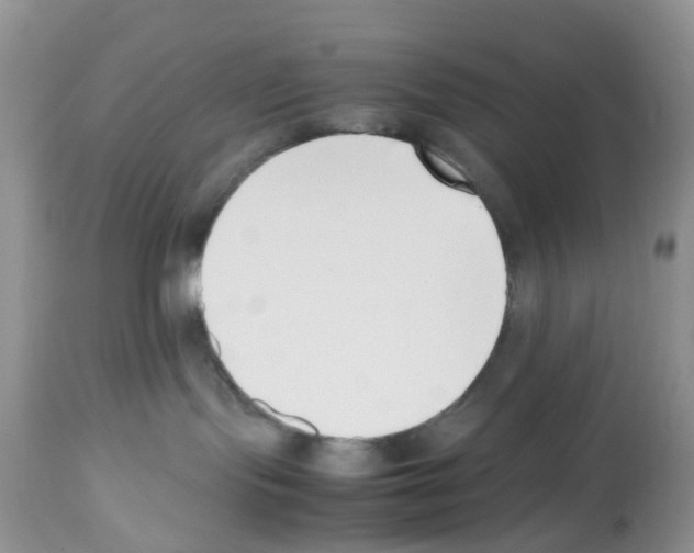 X0000112490095200909281144