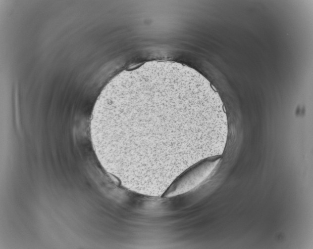 X0000112490096200909281144