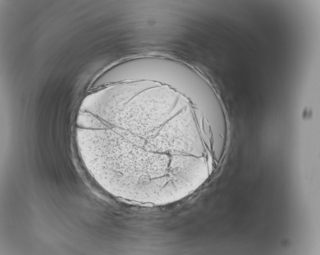 X0000112490097200909281143