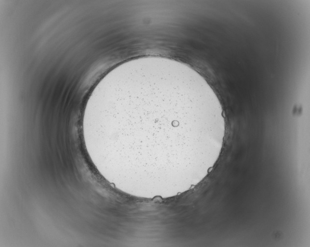X0000112490098200909281143