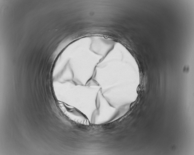 X0000112490099200909281142