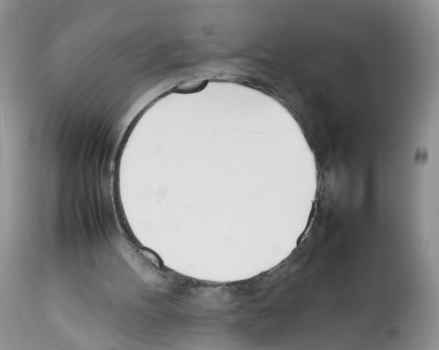 X0000112490100200909281142