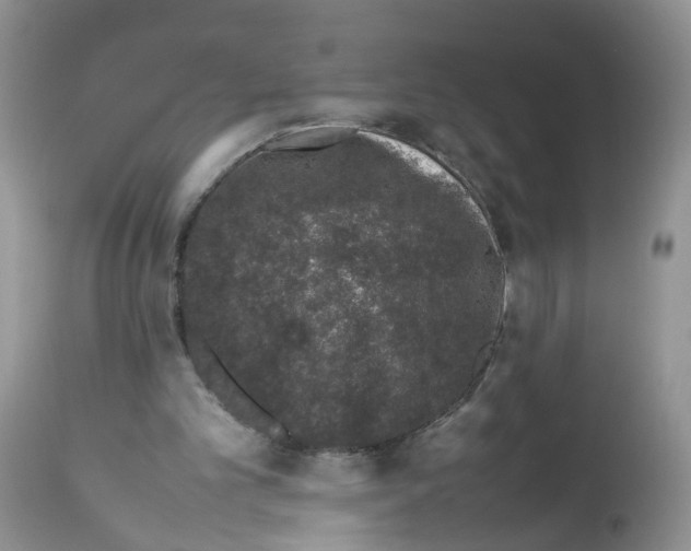X0000112490101200909281142