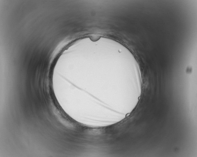 X0000112490102200909281142