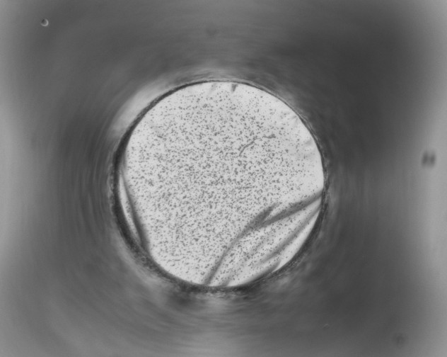 X0000112490103200909281142