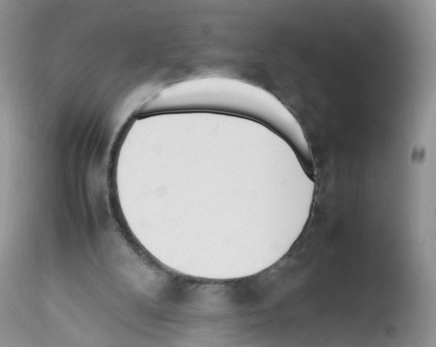 X0000112490104200909281142