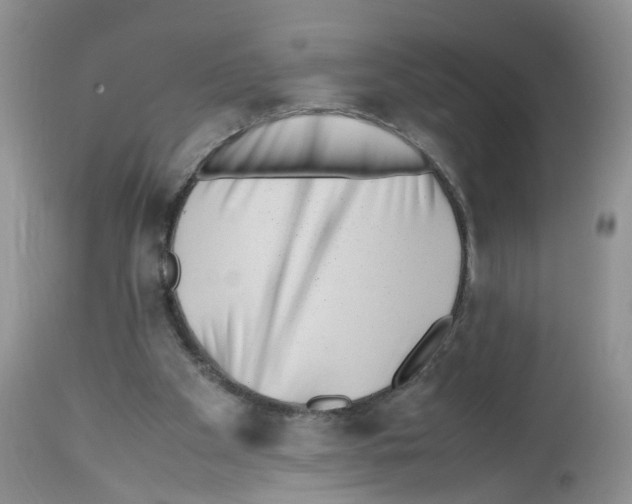 X0000112490105200909281142