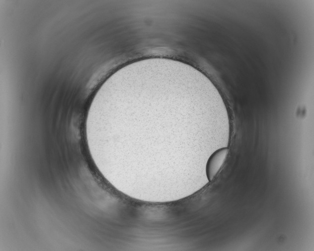 X0000112490106200909281142