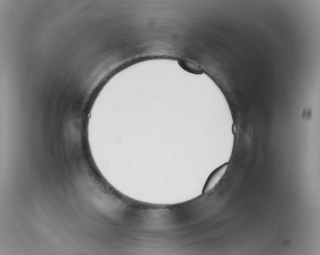 X0000112490108200909281142