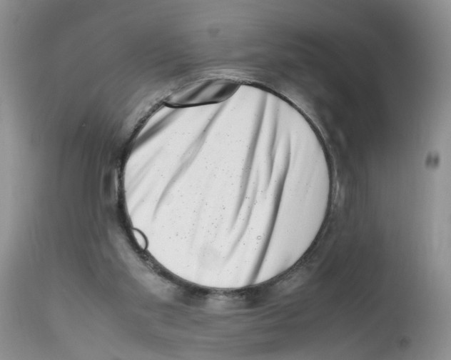 X0000112490109200909281142