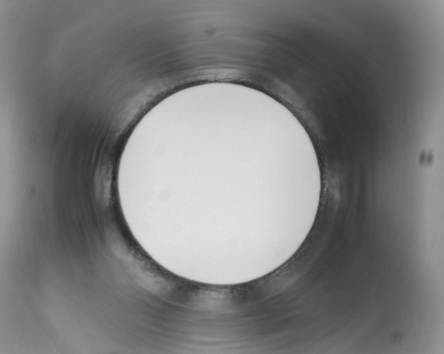 X0000112490110200909281142