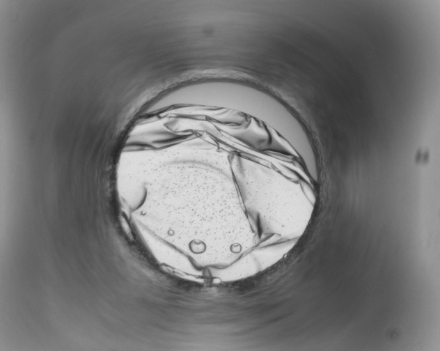 X0000112490111200909281142
