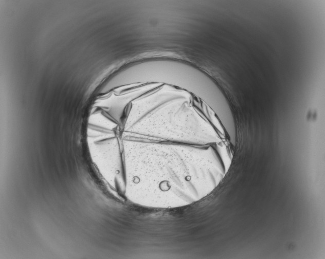 X0000112490112200909281142