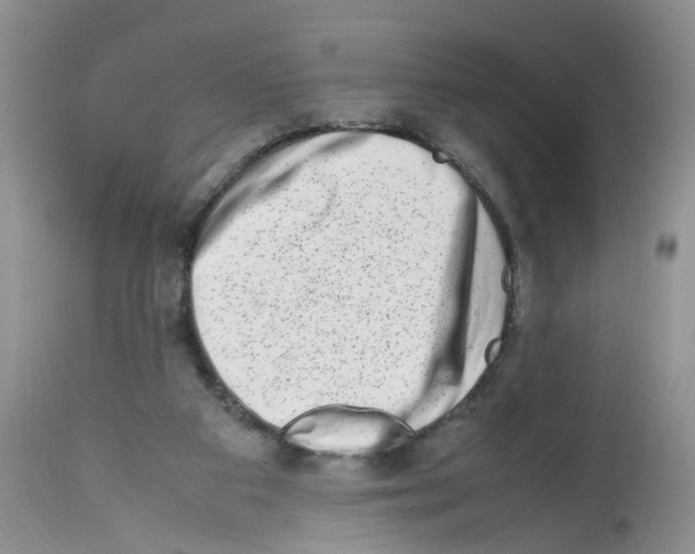 X0000112490113200909281142