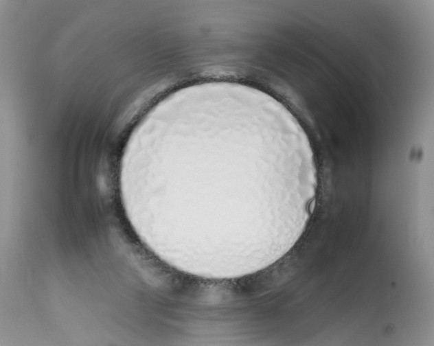 X0000112490114200909281142