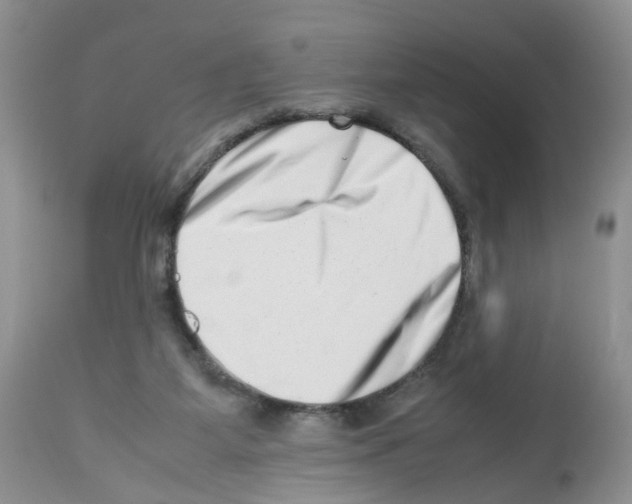 X0000112490115200909281142