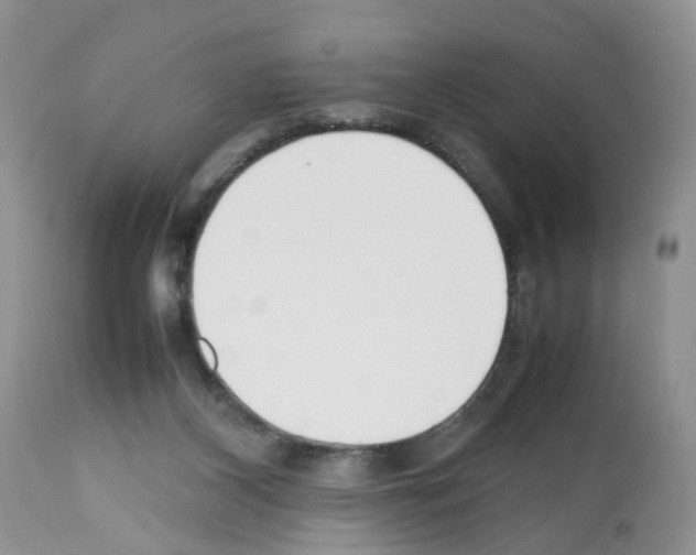 X0000112490116200909281142