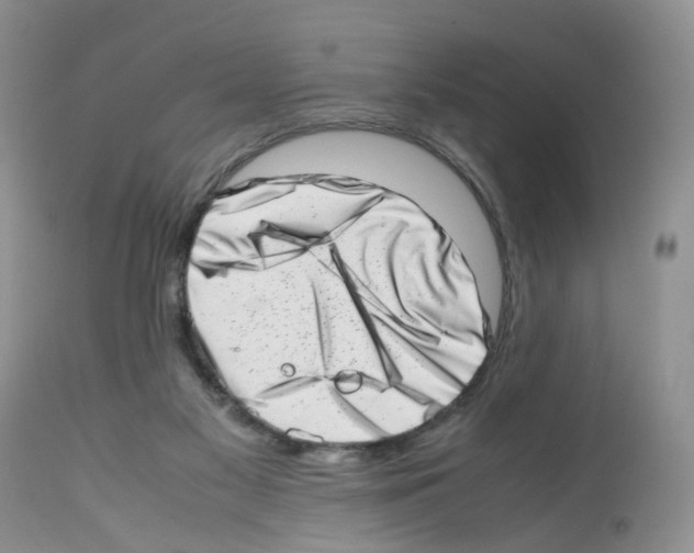 X0000112490117200909281142